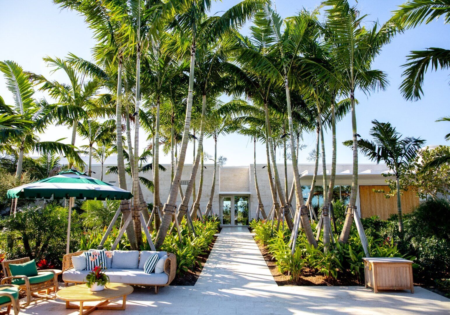 Palm-lined entrance walkway to the Atlantic Fields Golf House