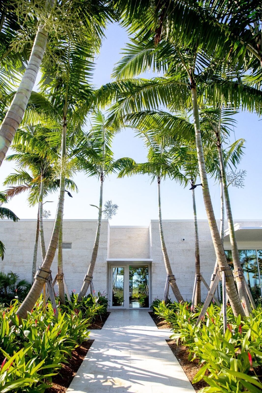 Palm-lined entry path toward the glass doors